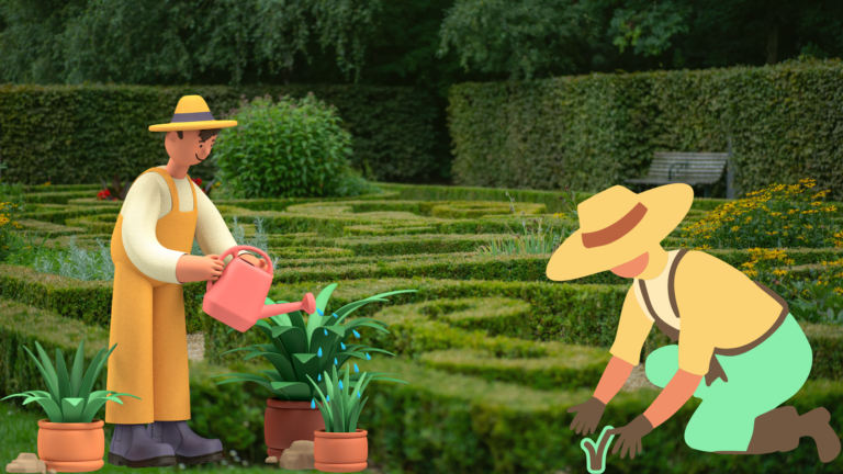 Cost to Reduce a Hedge's Height by 1, 2 or 3 Feet