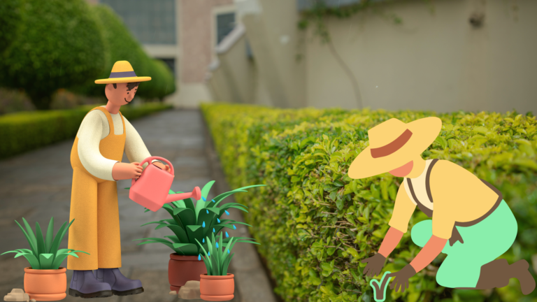 How Much Does It Cost to Trim a Leylandii Hedge?