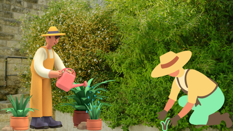 Laurel Hedge Cutting Cost